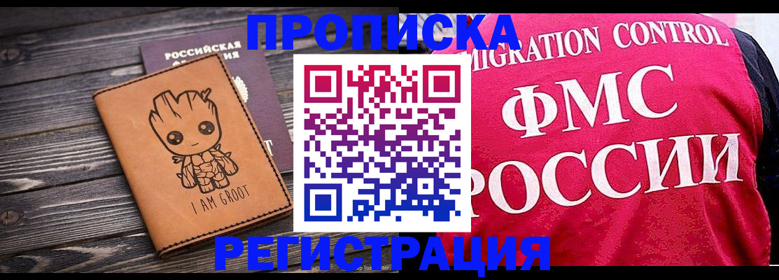 прописка 2025 в Мончегорске